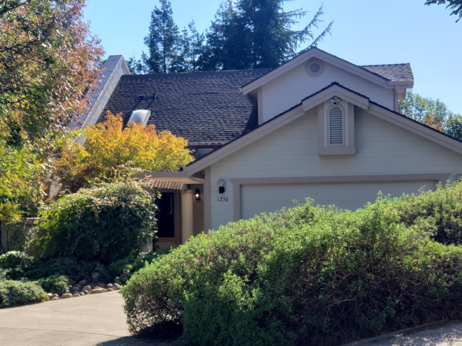 1256 Saddle Court