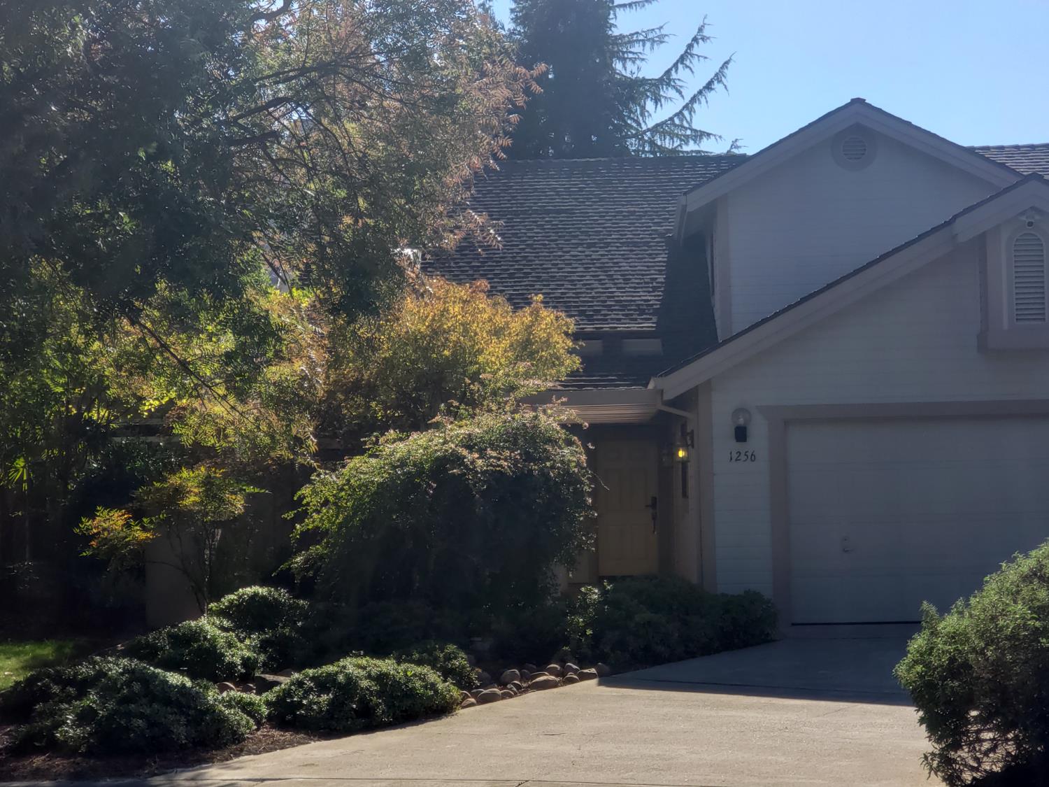1256 Saddle Court
