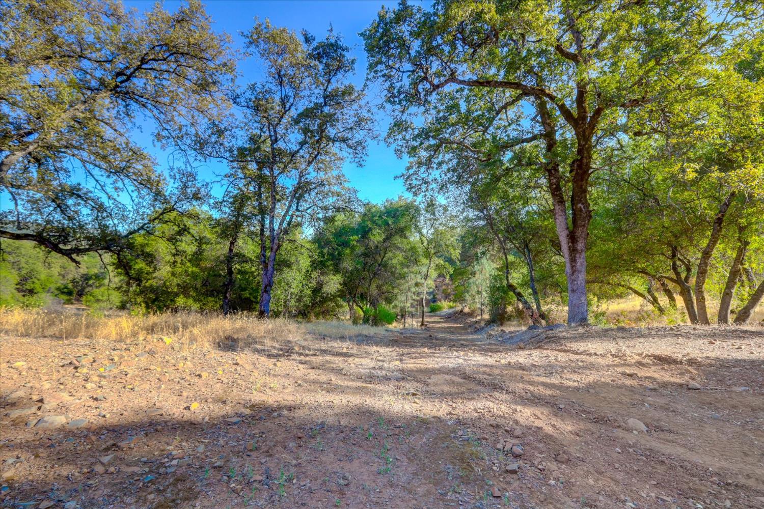 Browns Valley, California 95918, United States, ,Land,Active,192458