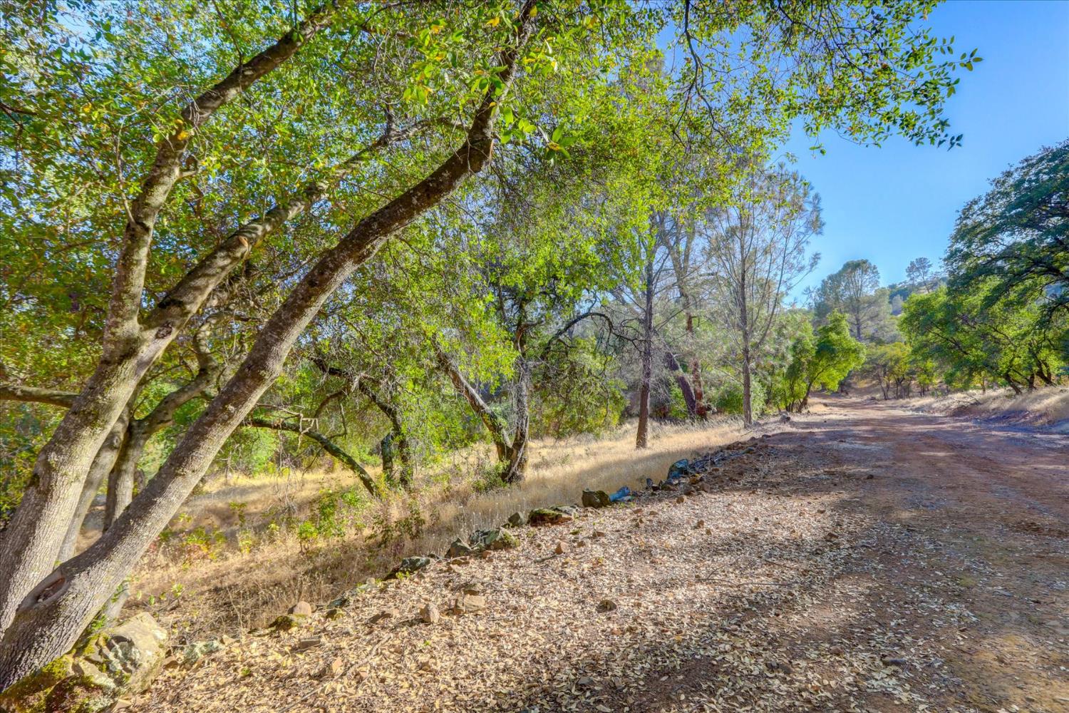 Browns Valley, California 95918, United States, ,Land,Active,192458