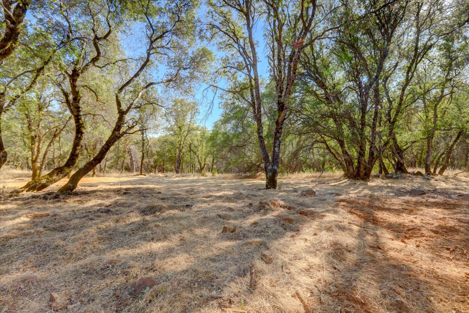 Browns Valley, California 95918, United States, ,Land,Active,192458