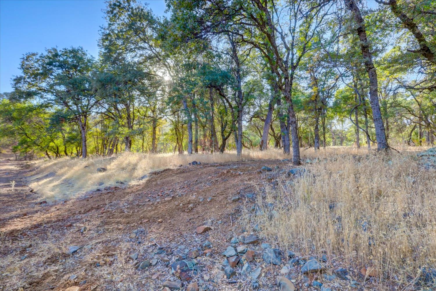 Browns Valley, California 95918, United States, ,Land,Active,192458