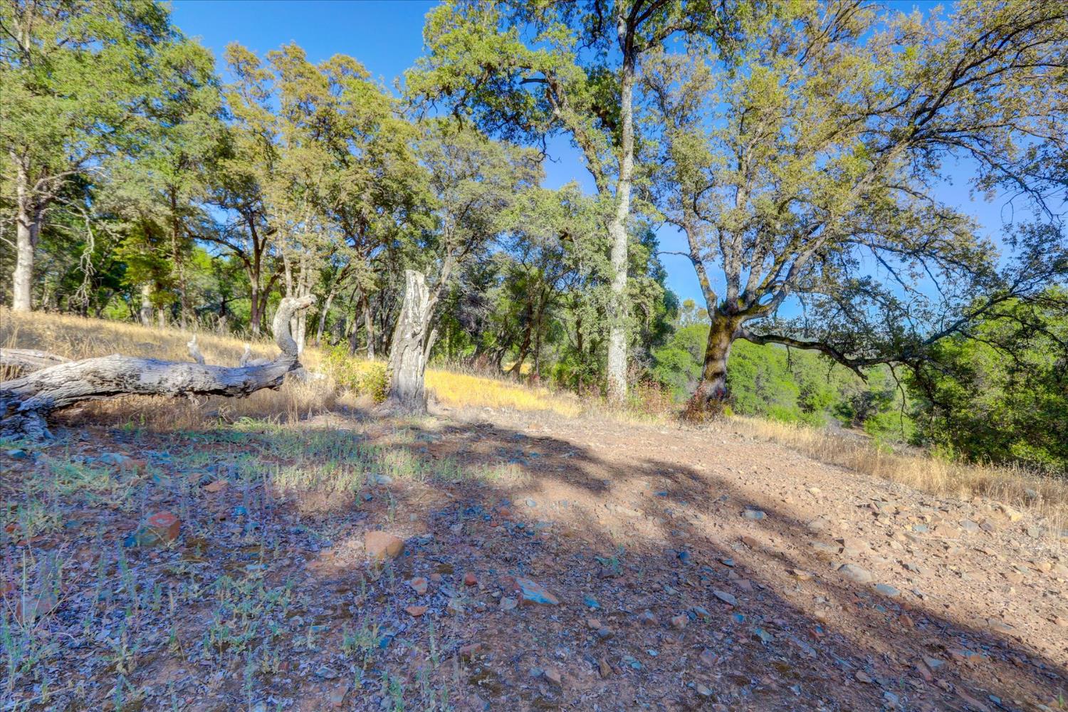 Browns Valley, California 95918, United States, ,Land,Active,192458