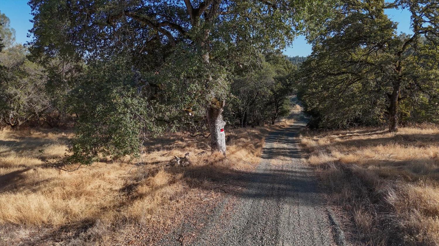 Browns Valley, California 95918, United States, ,Land,Active,192458