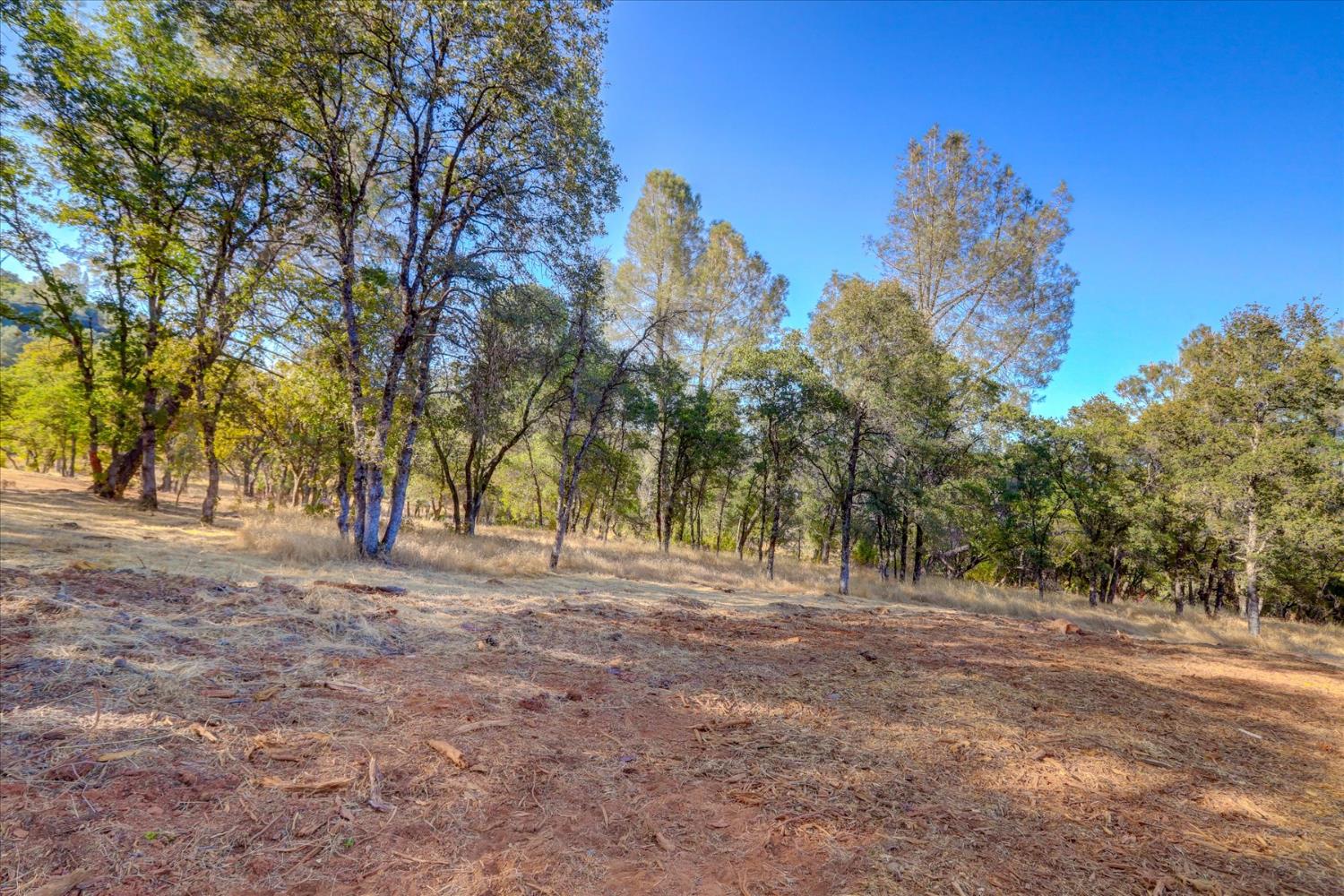 Browns Valley, California 95918, United States, ,Land,Active,192458