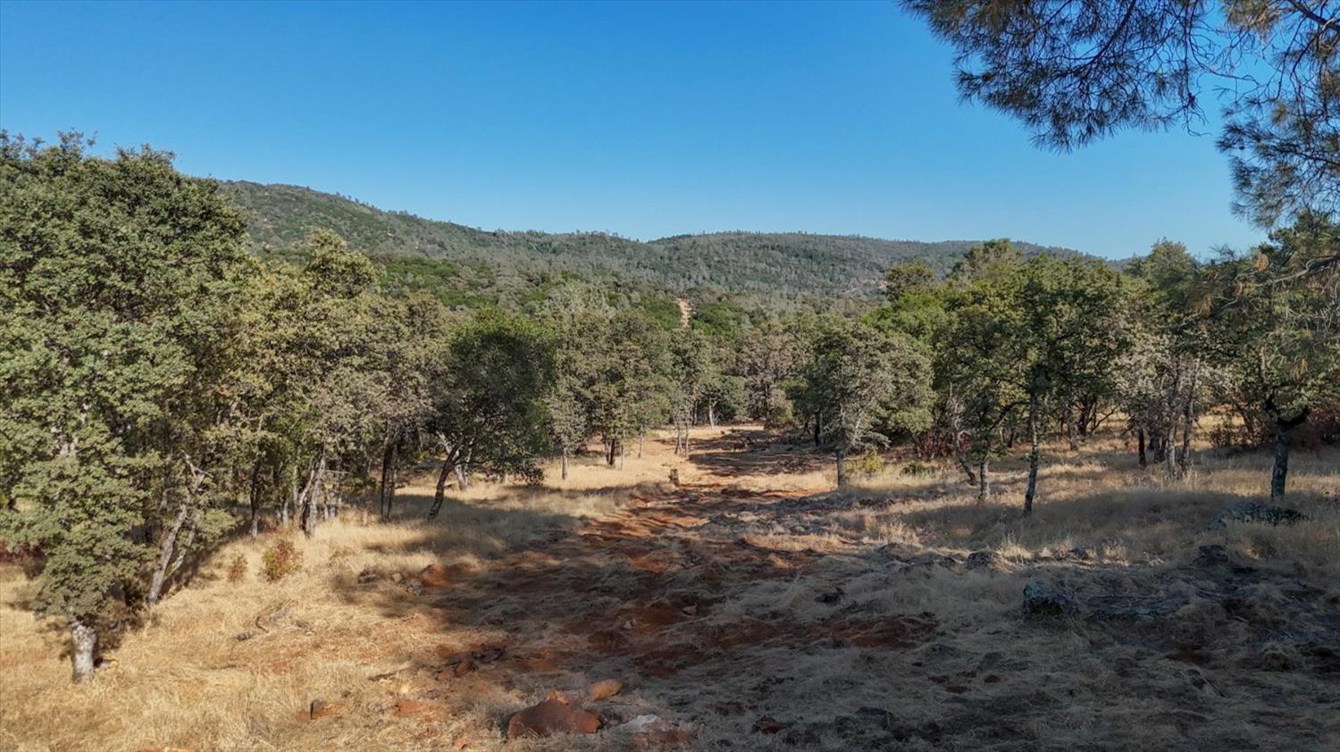 Browns Valley, California 95918, United States, ,Land,Active,192458