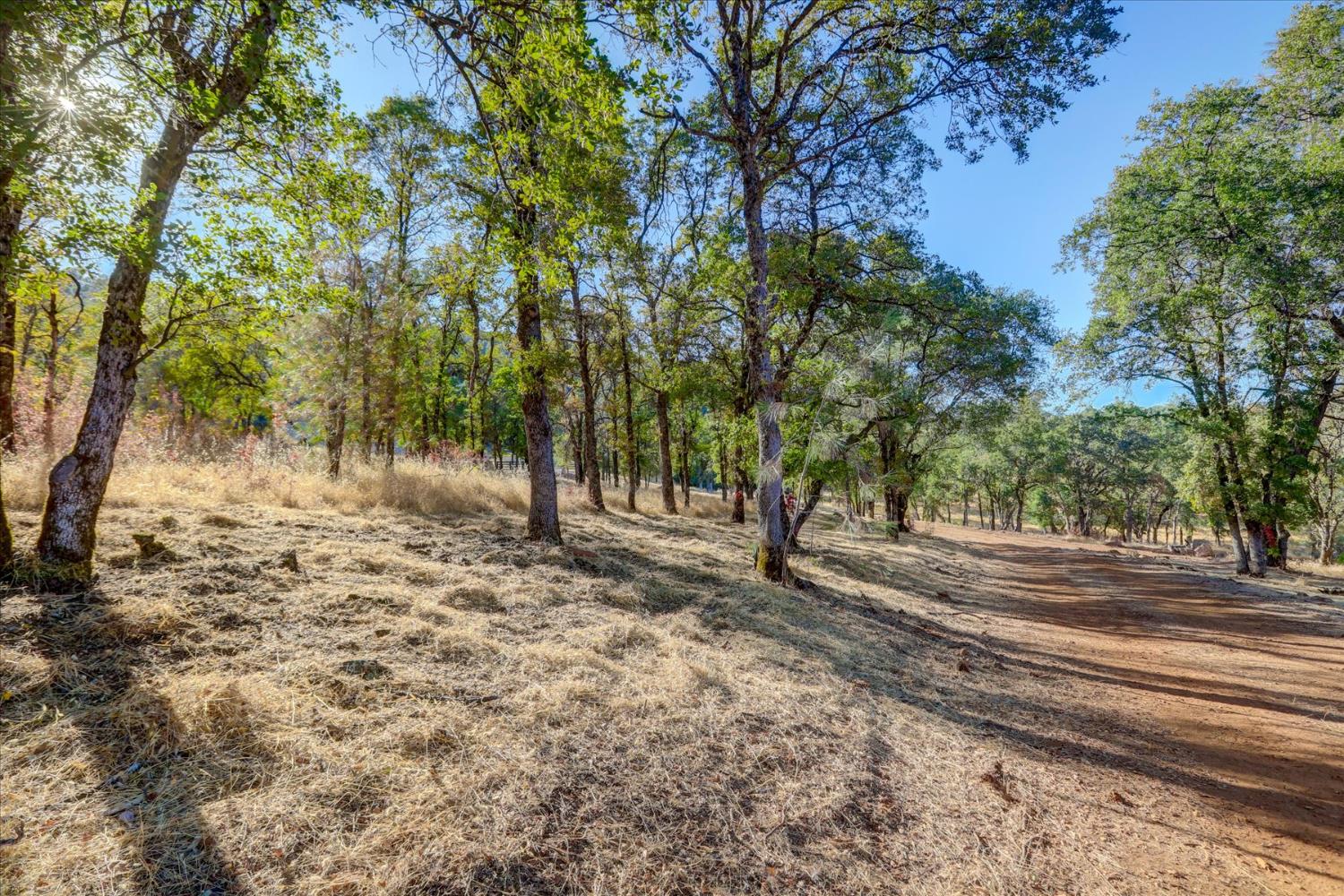 Browns Valley, California 95918, United States, ,Land,Active,192458