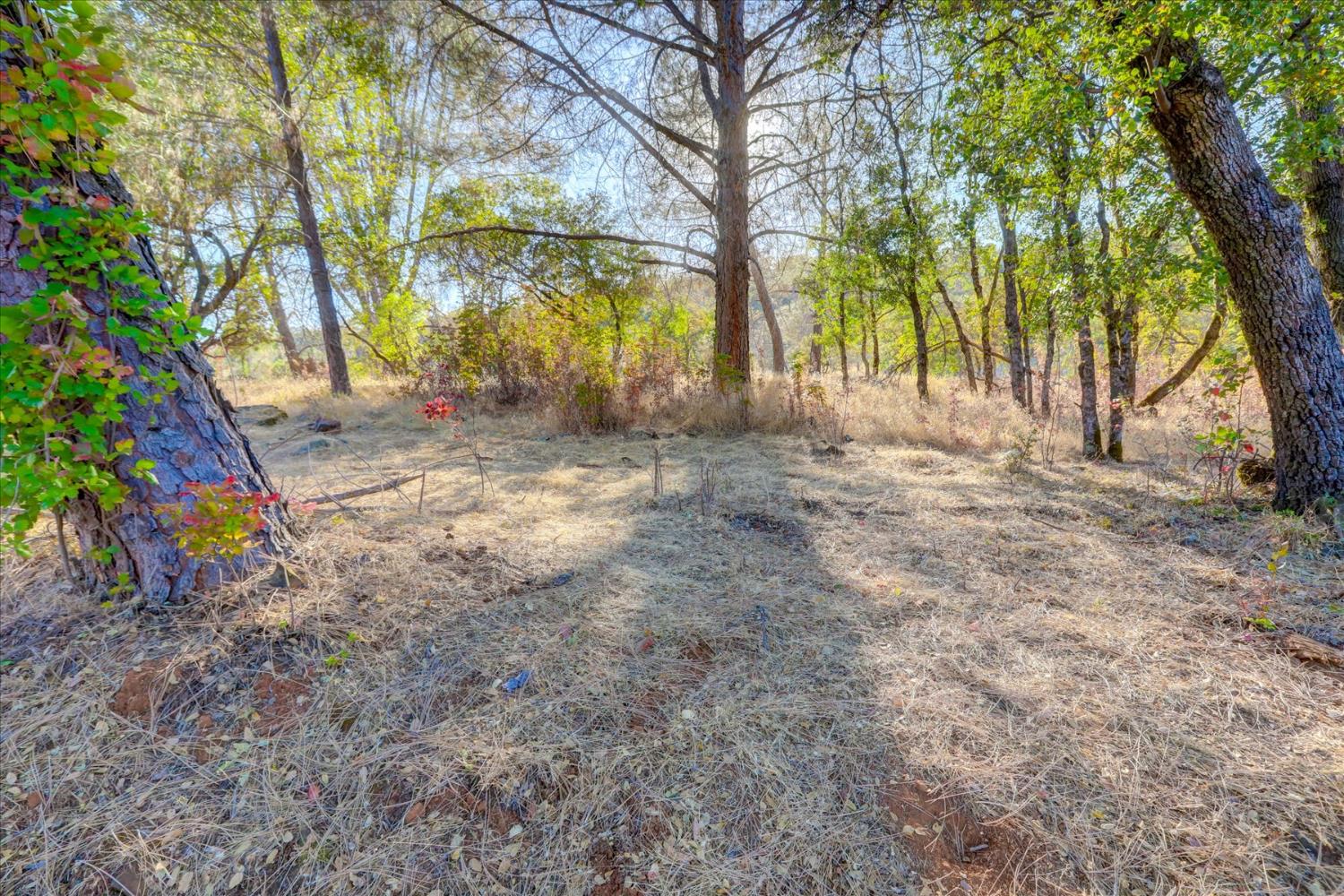 Browns Valley, California 95918, United States, ,Land,Active,192458