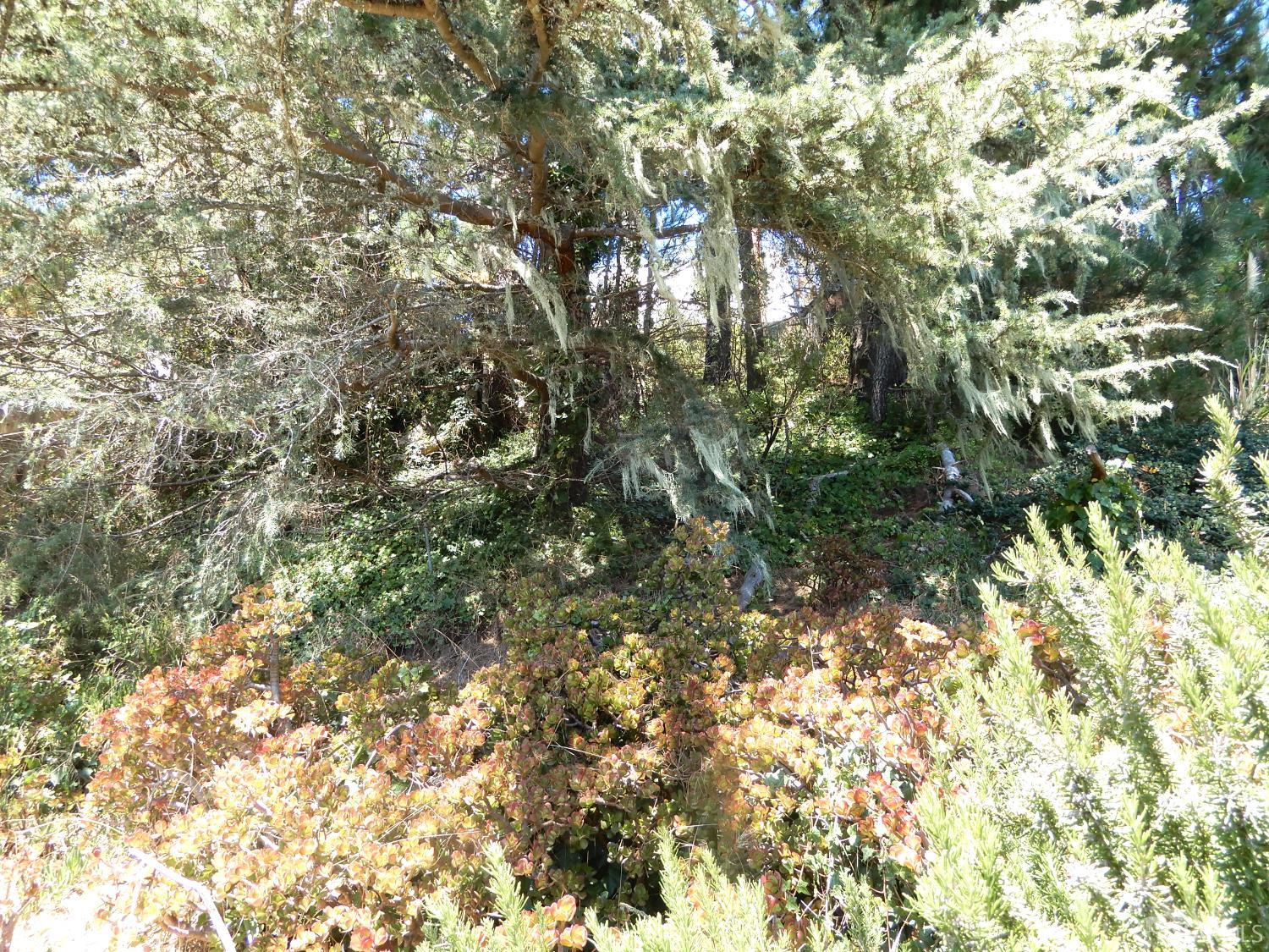 550 Verducci Drive