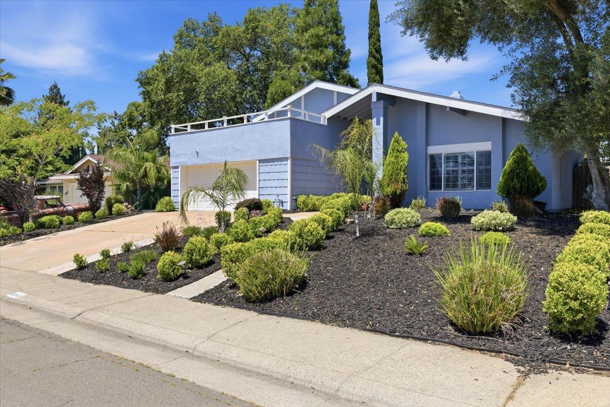 8465 Cortadera Drive