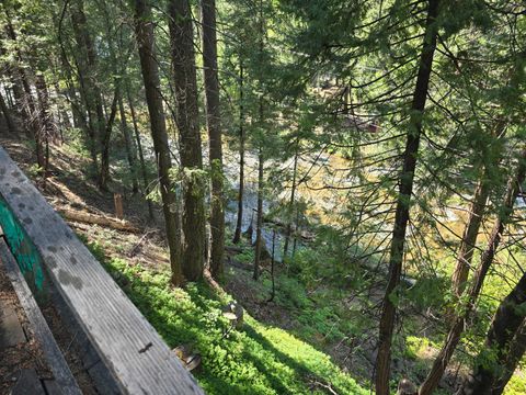 11700 Redwing Drive Kyburz CA 95720