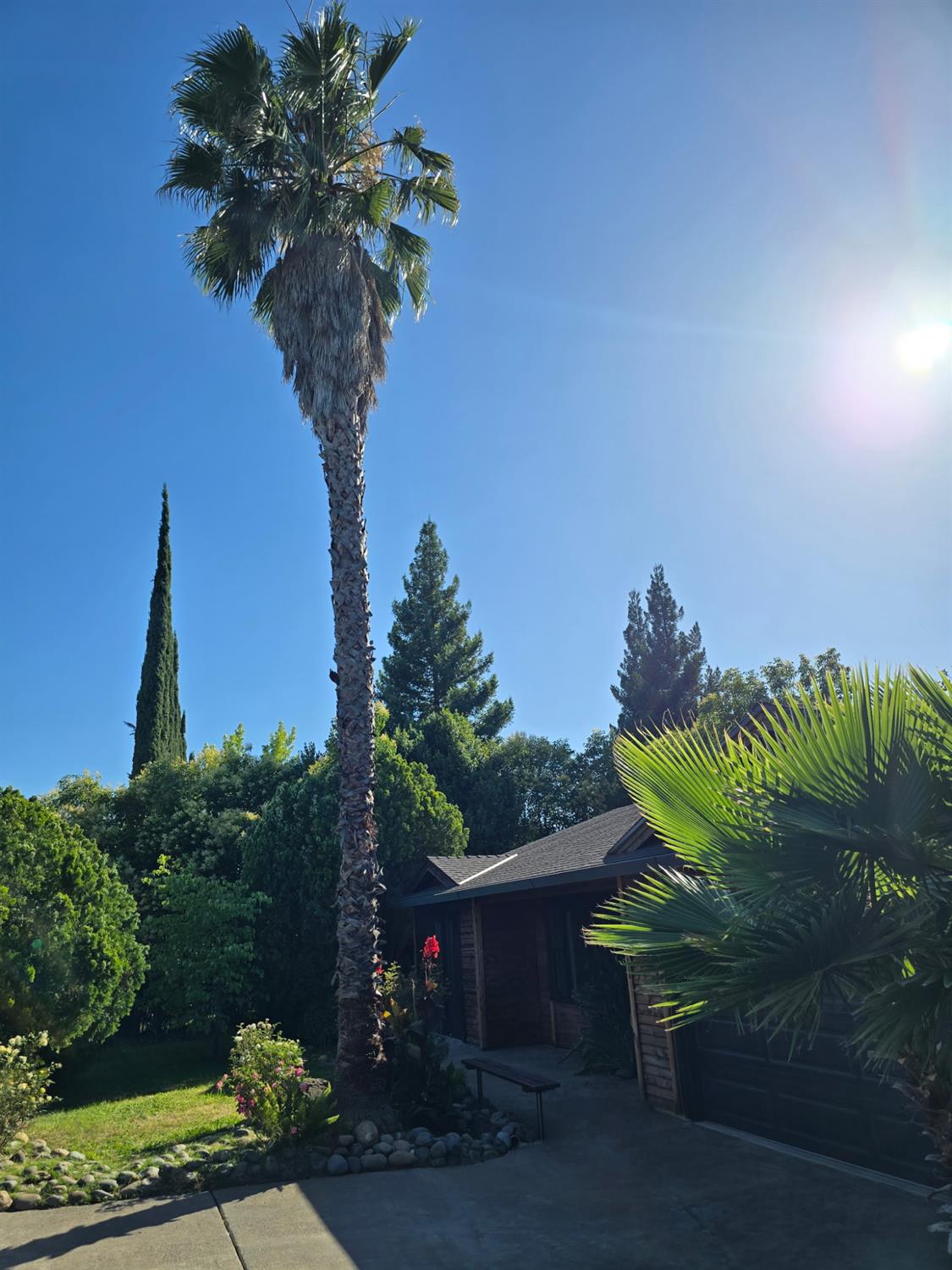 6341 Tupelo Dr.