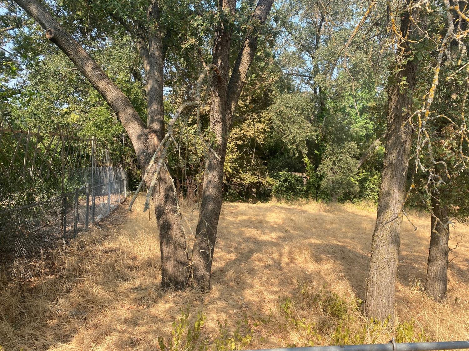 0 Grant Avenue