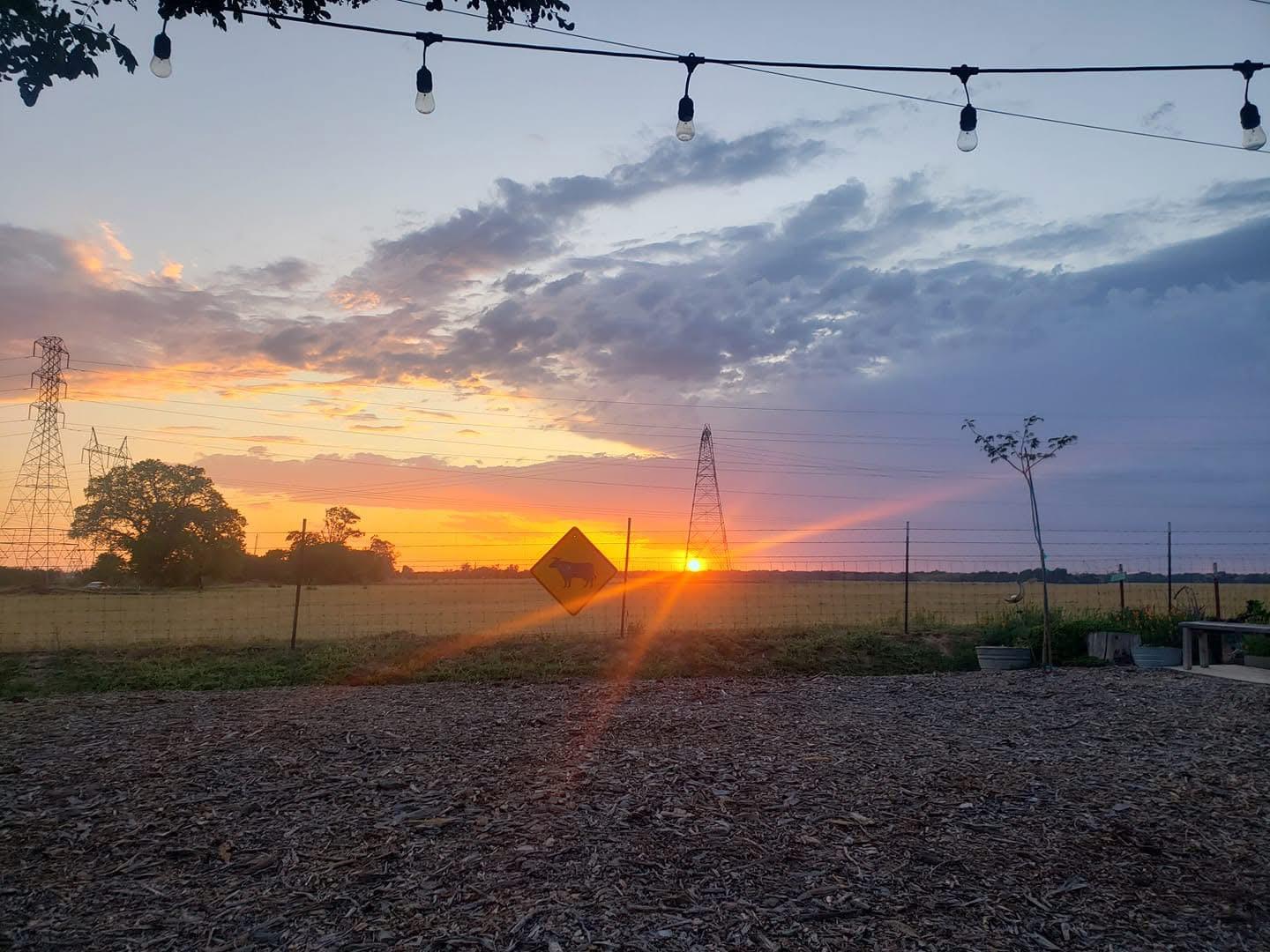 Galt, California 95632, United States, 2 Bedrooms Bedrooms, ,1 BathroomBathrooms,Residential,Active,159234