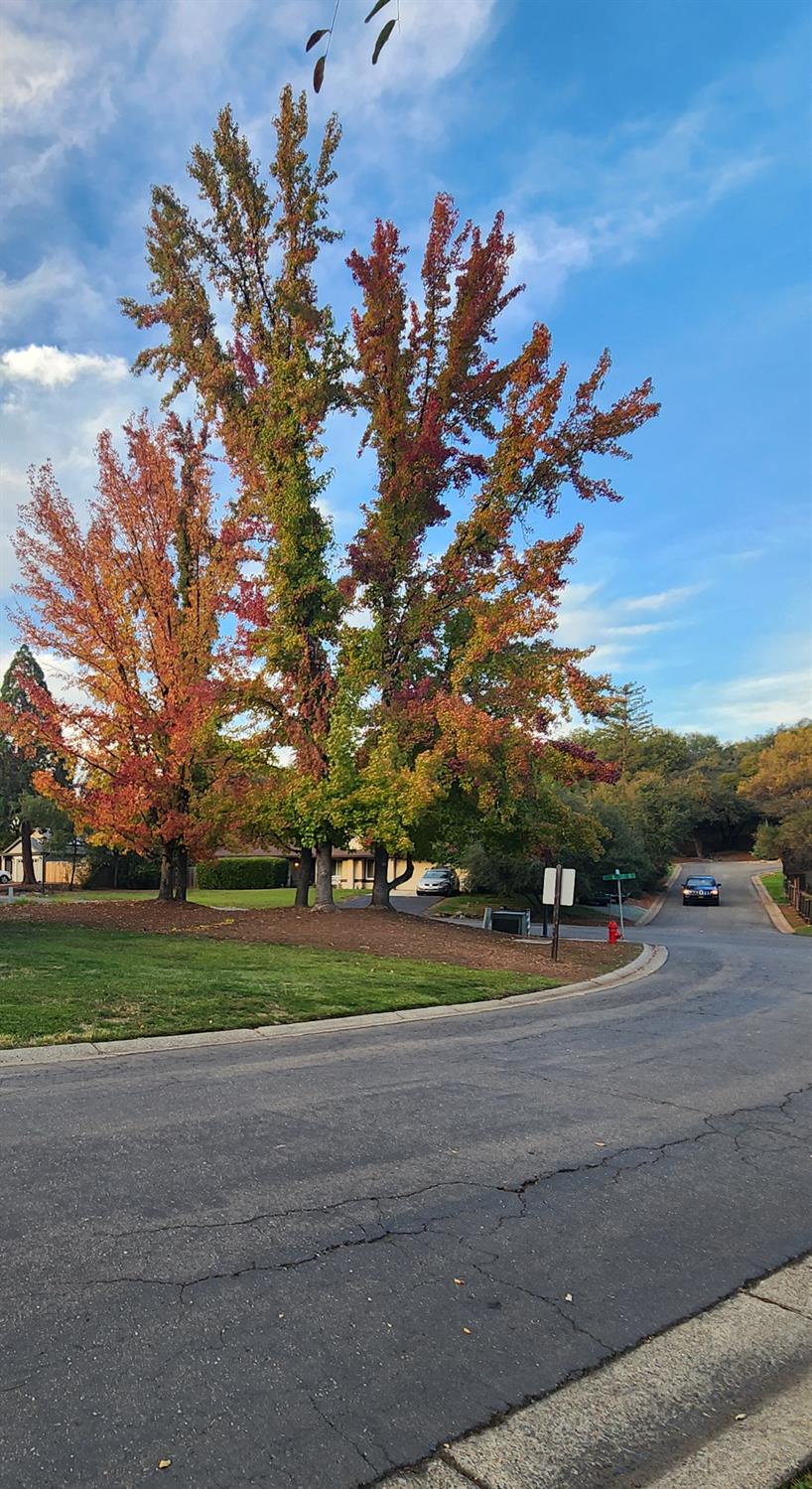 3342 Village Court