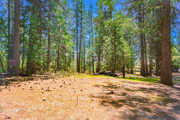 25594 OVERLAND DR, VOLCANO, CA 95689 - Image 5a57eef95086bc9bd2ec05922149f2e0/324079360