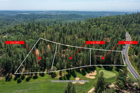 16669 E Summit View Drive Meadow Vista CA 95722