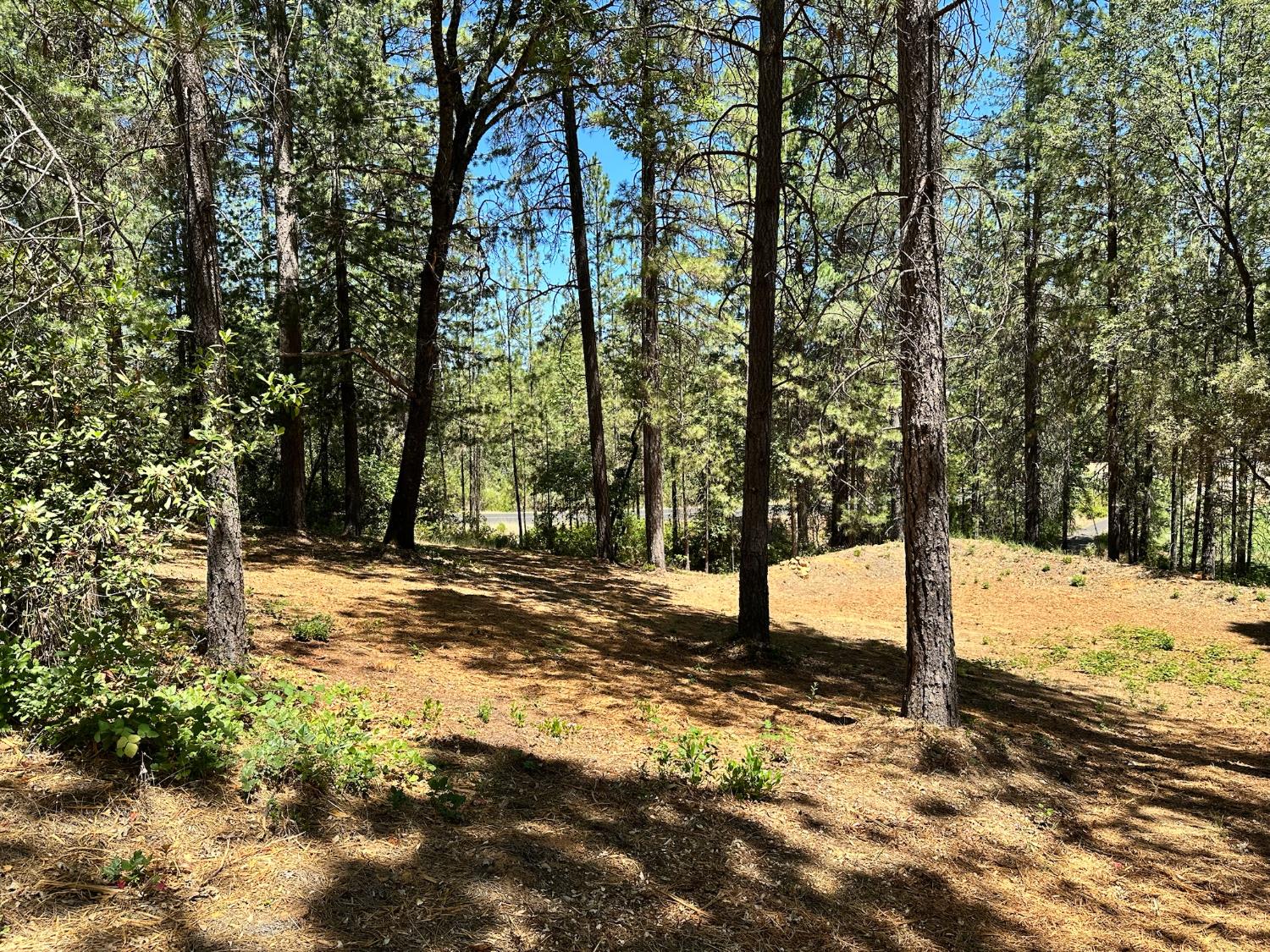 16669 E Summit View Drive