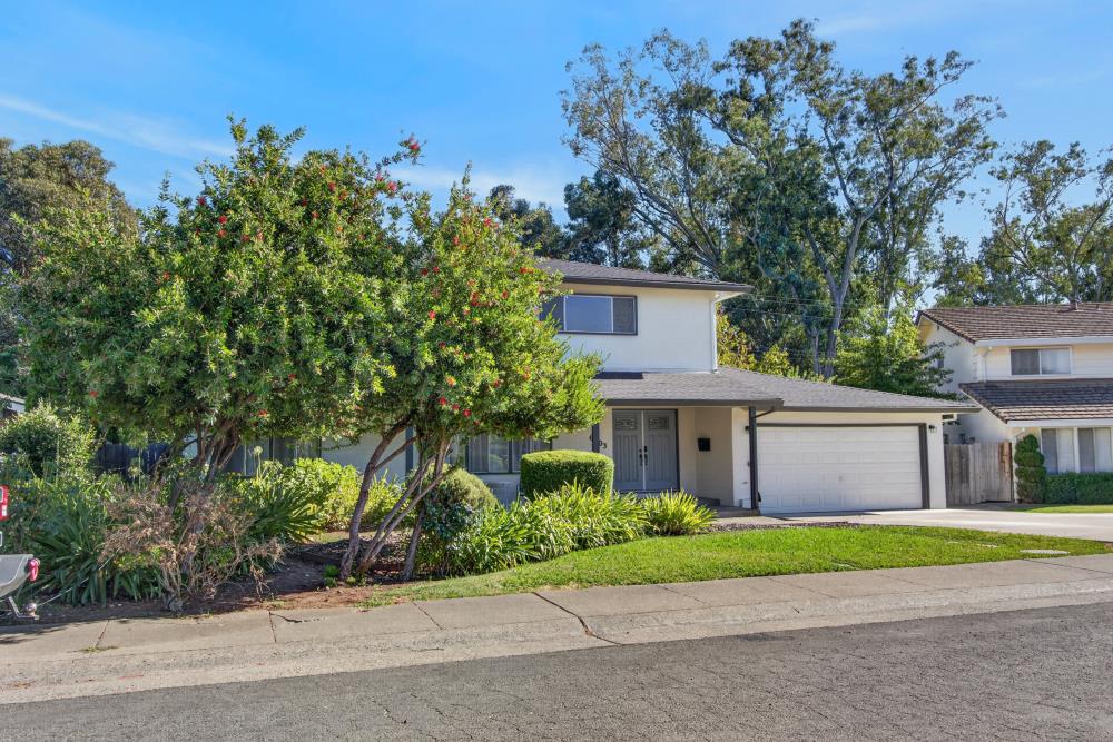 6903 Los Olivos
