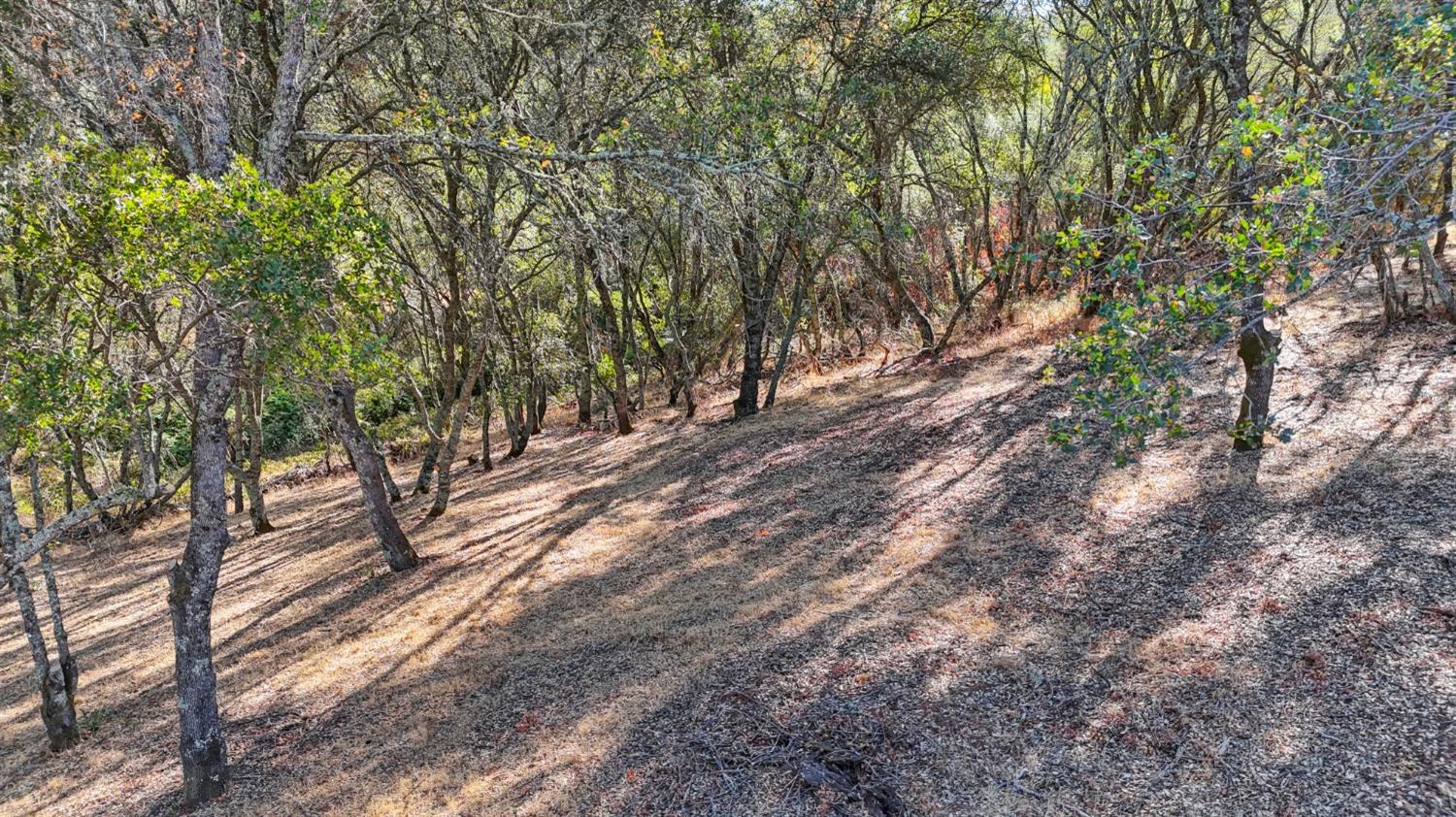 6084 Western Sierra Way