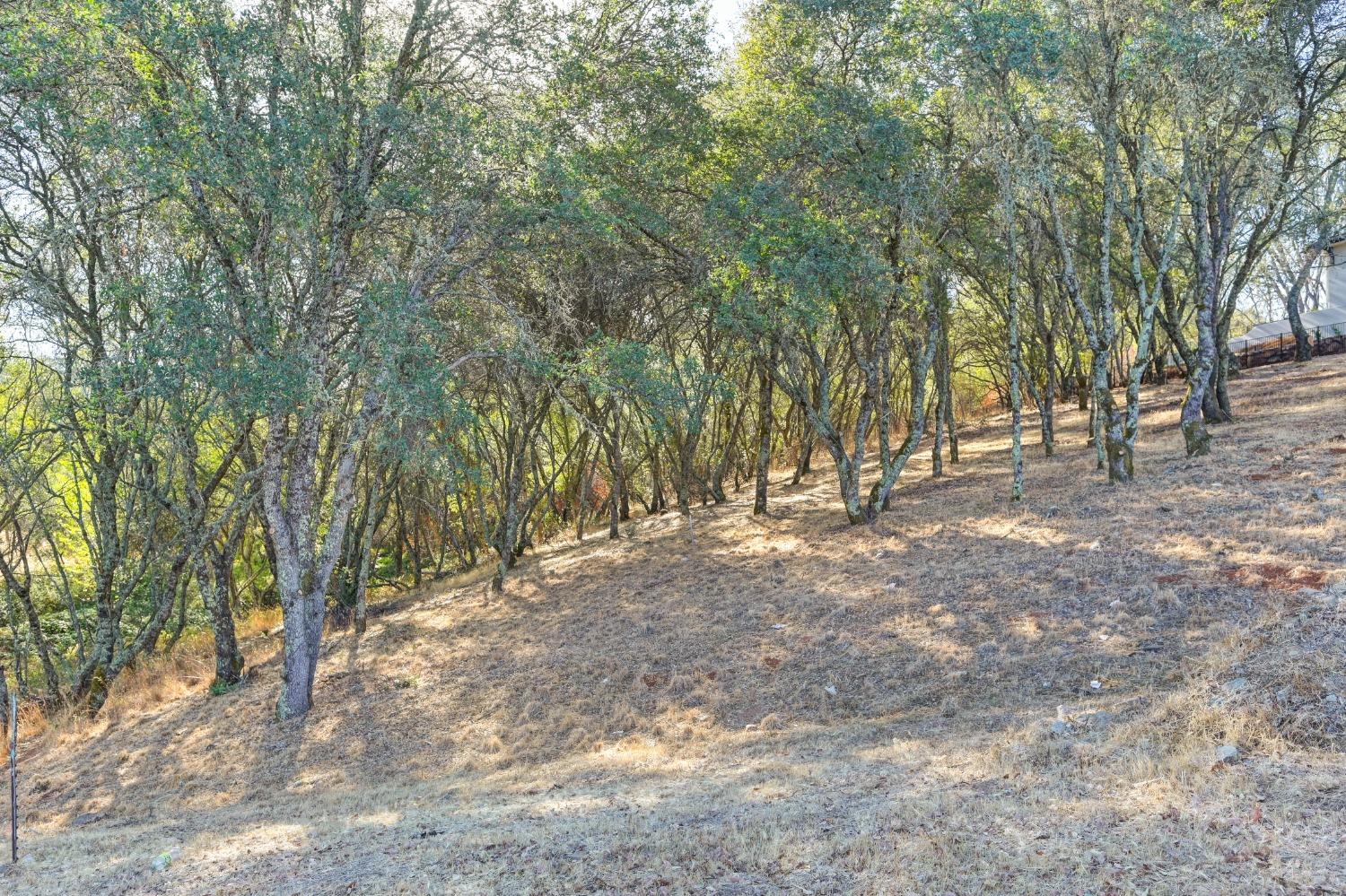 6084 Western Sierra Way