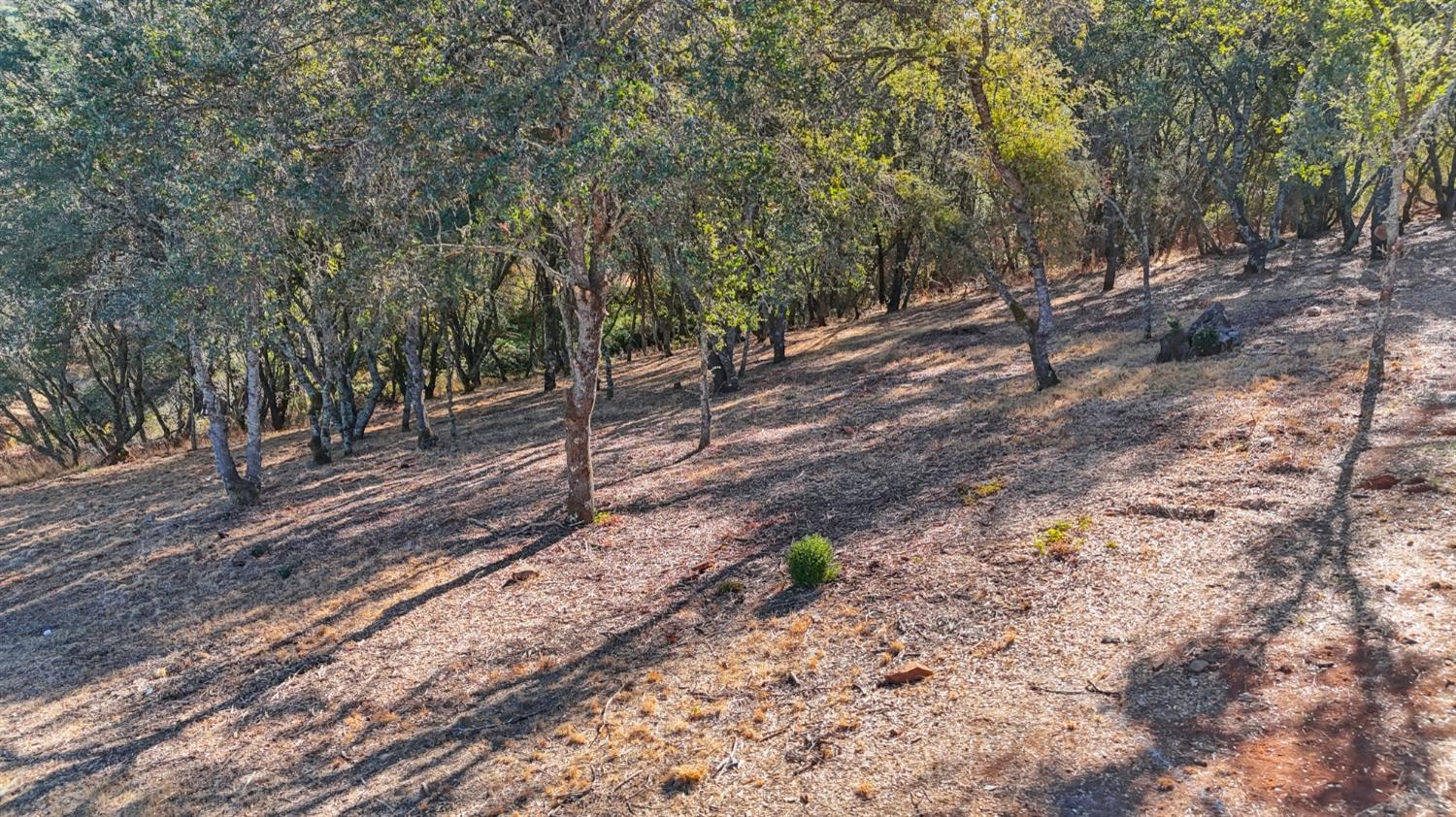 6084 Western Sierra Way