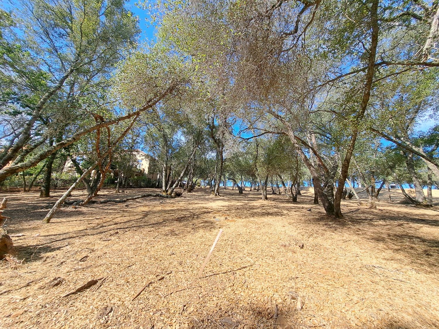 6087 Aldea Drive