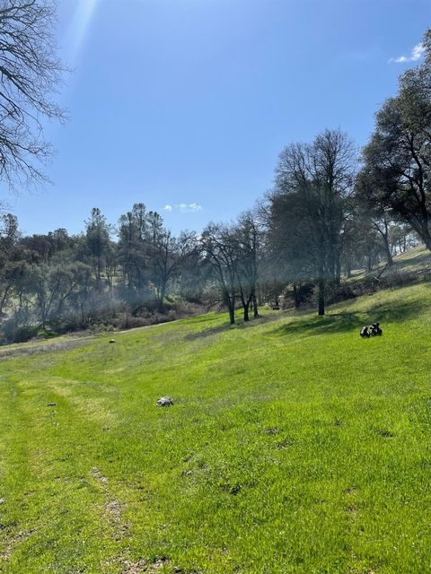 MLS: 225026060