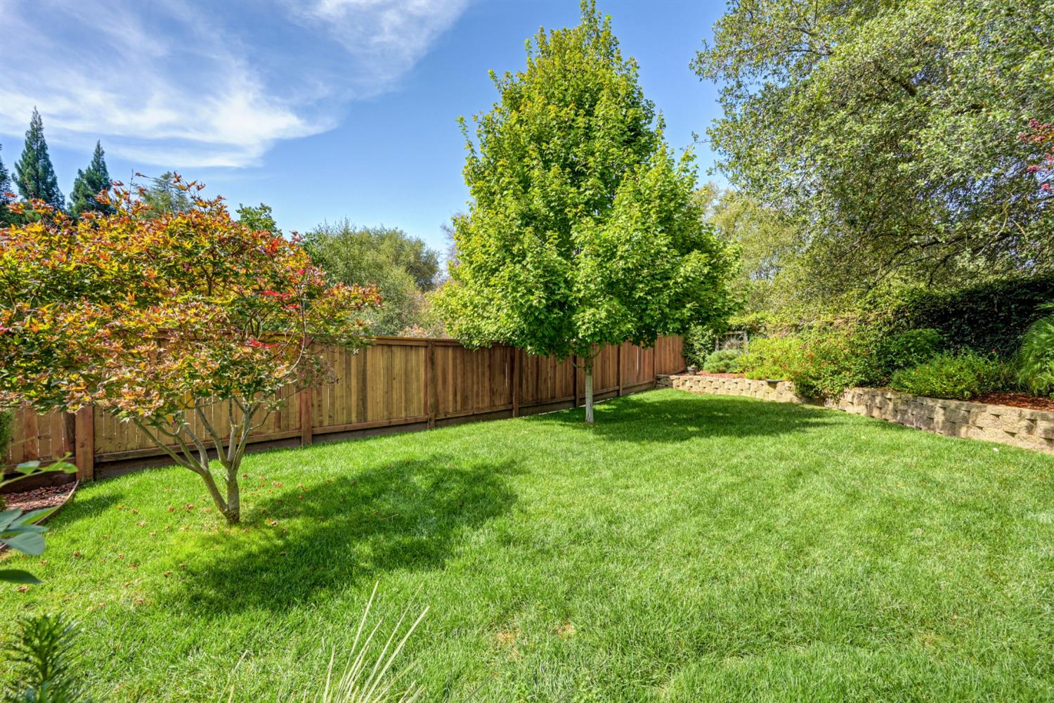 11705 Gold Parke Lane