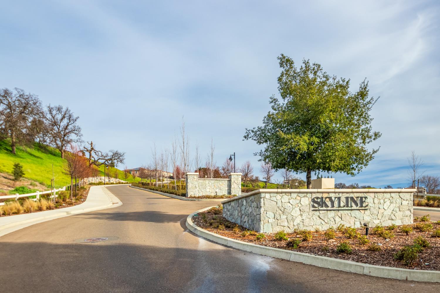 4067 Whitney Vista Lane