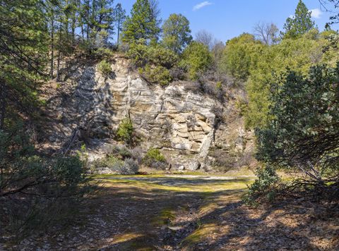 15528 Ca-49 Camptonville CA 95922