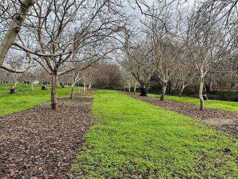 27436 county road 91a Winters CA 95694