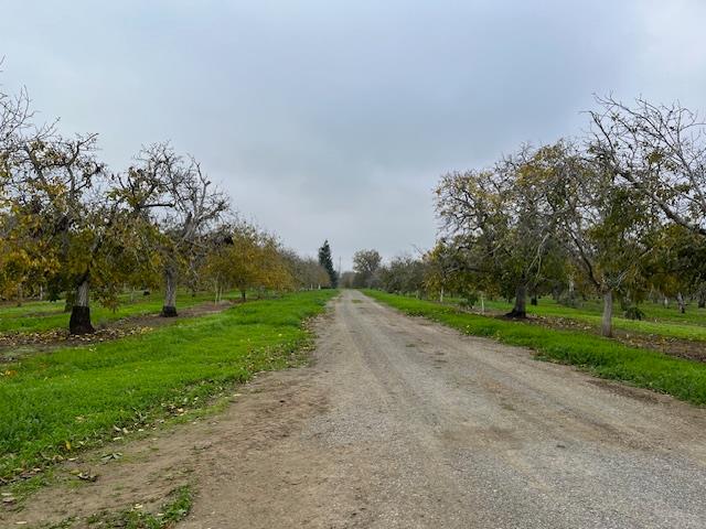 27436 county road 91a