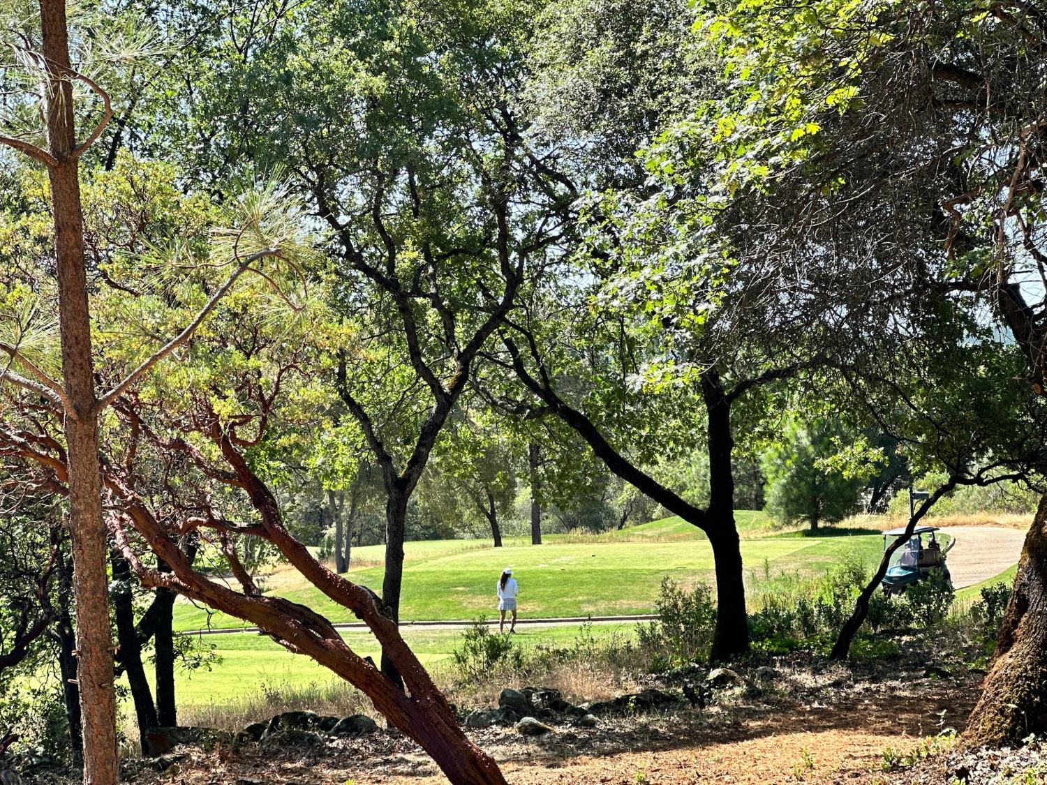 1855 E Summit View Drive