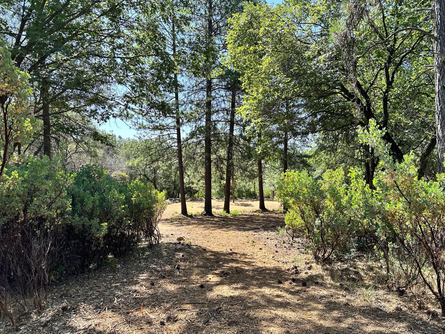 1855 E Summit View Drive