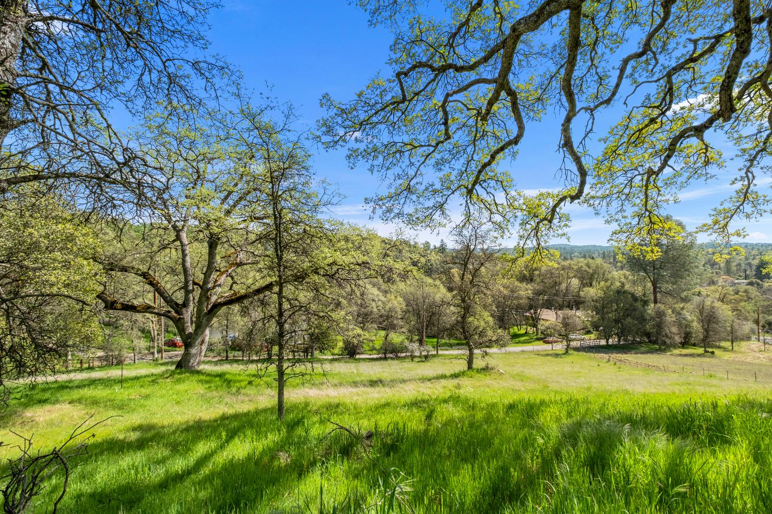 3099 Briw Ridge Road