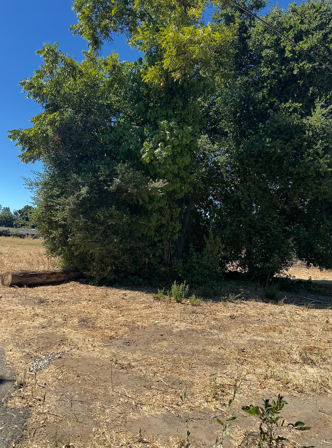 5011 Del Rio Road