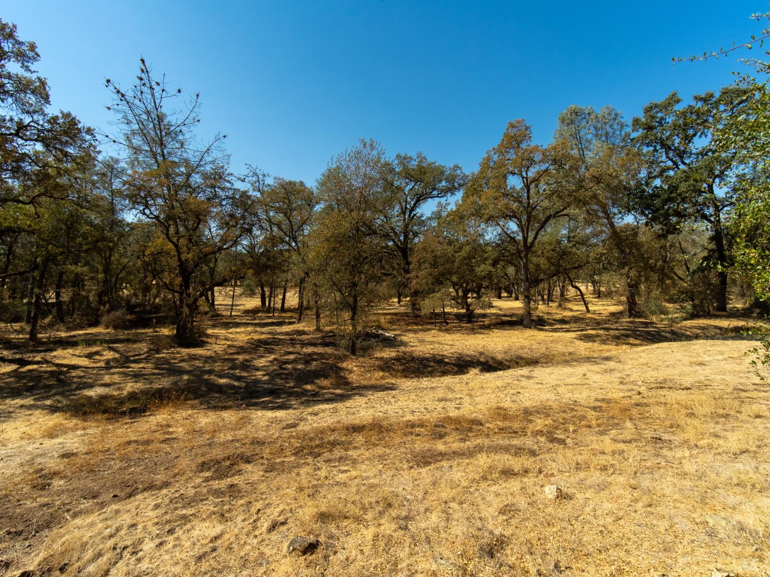 2170 Green Valley Road
