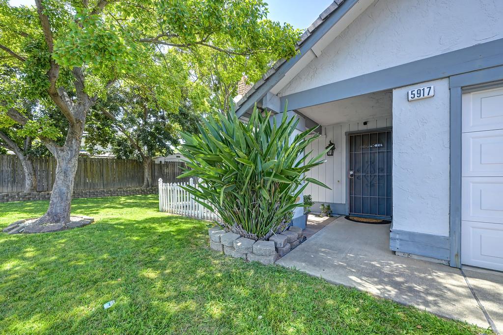 5917 Tupelo Drive