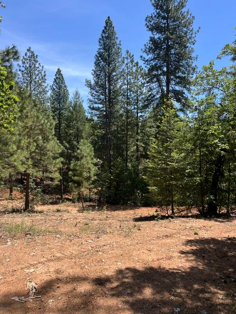 5040 Butterfield Stage Road