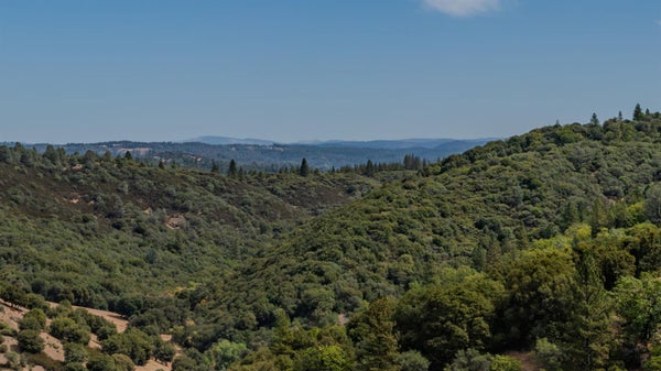 14255 QUARTZ MOUNTAIN RD E, SUTTER CREEK, CA 95685 - Image 5dd718bf9c7f0dbd19e4e9f96bf46f5b/3413824119