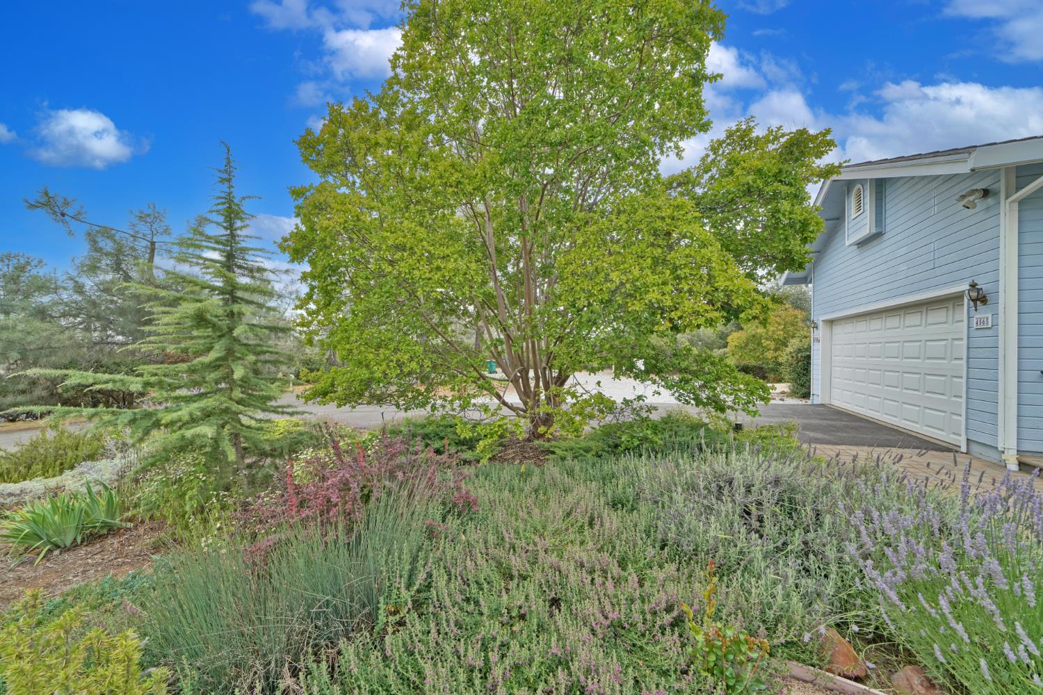 4565 Calumet Court