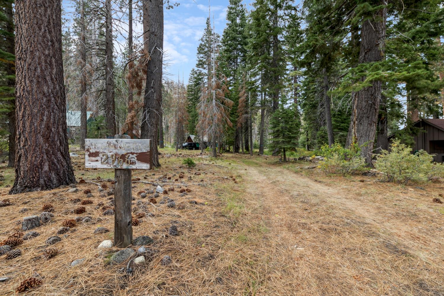 2966 S Upper Truckee Road 6