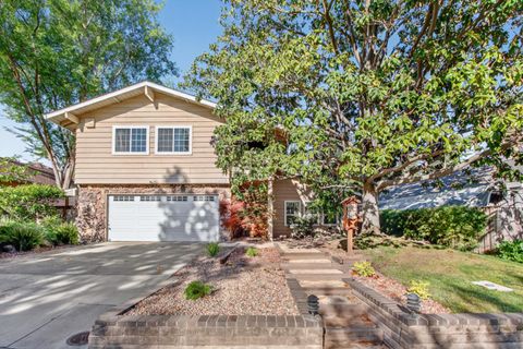 3405 Riverdale Way Carmichael CA 95608