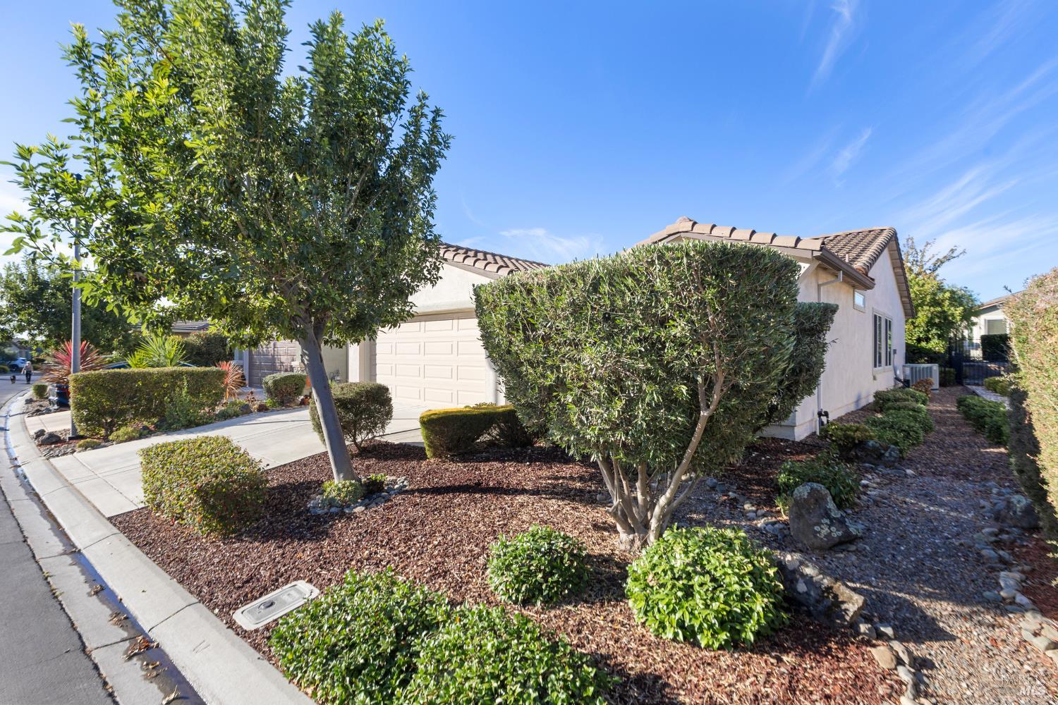 319 Birch Ridge Drive