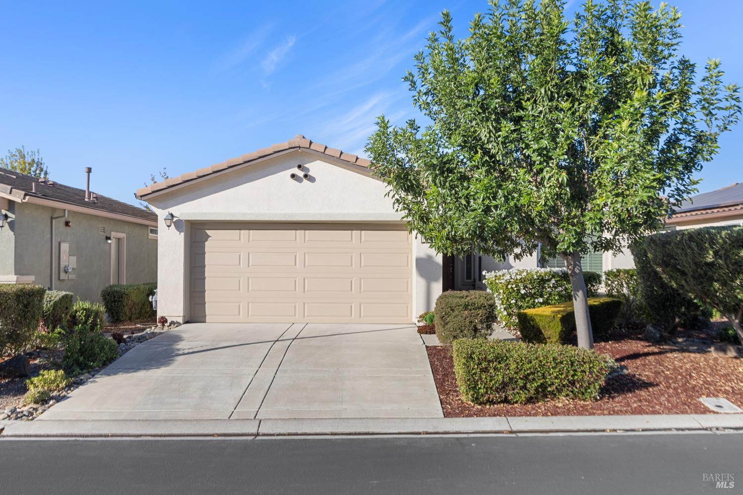 319 Birch Ridge Drive