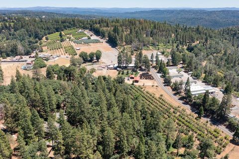 2360 Union Ridge Road Placerville CA 95667
