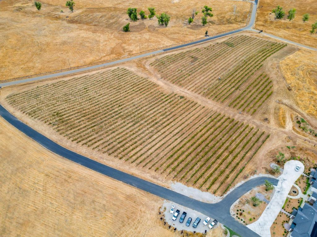 Photo of 13850 Meiss Road, Sloughhouse, CA 95683 (MLS # 225140460)