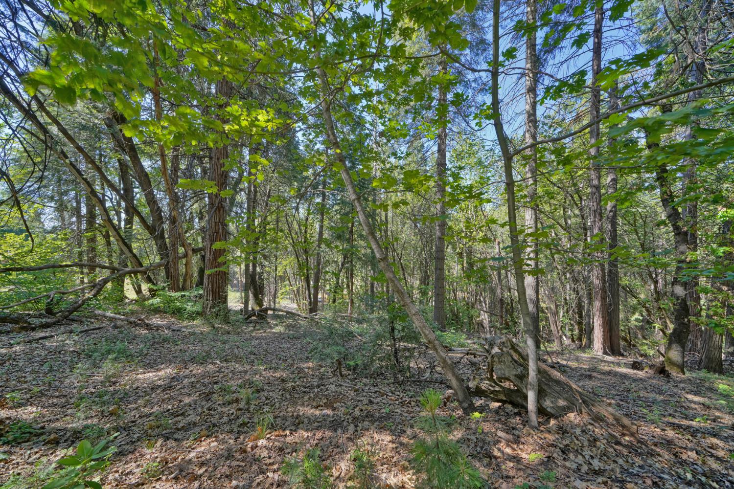 4681 Glenwood Drive