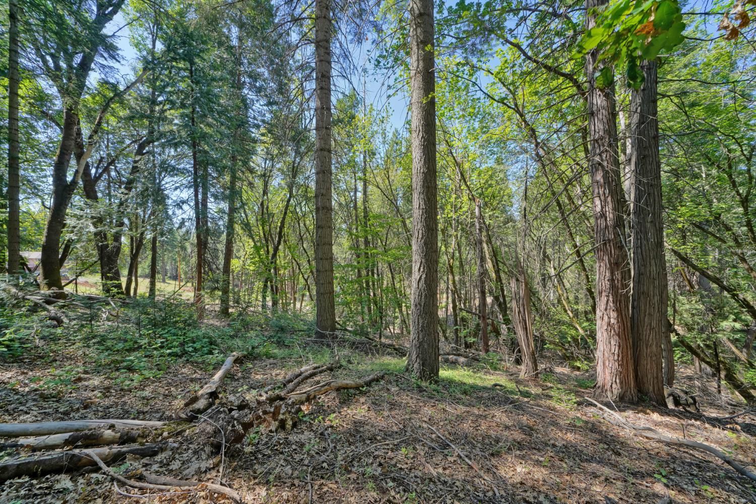 4681 Glenwood Drive